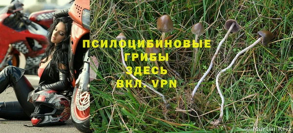 ALPHA PVP Армянск