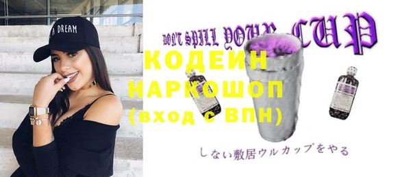 гидра Медвежьегорск