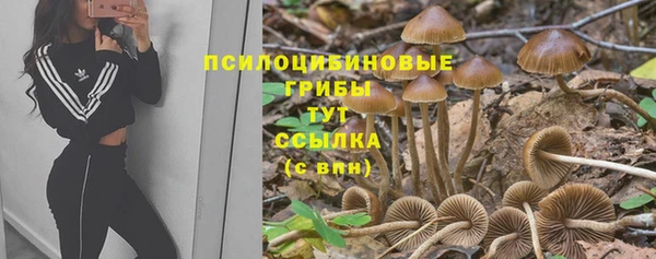 ECSTASY Алзамай