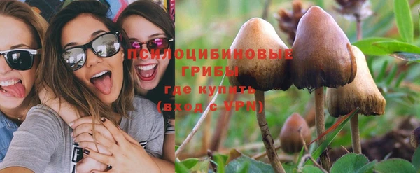 гашик Аркадак